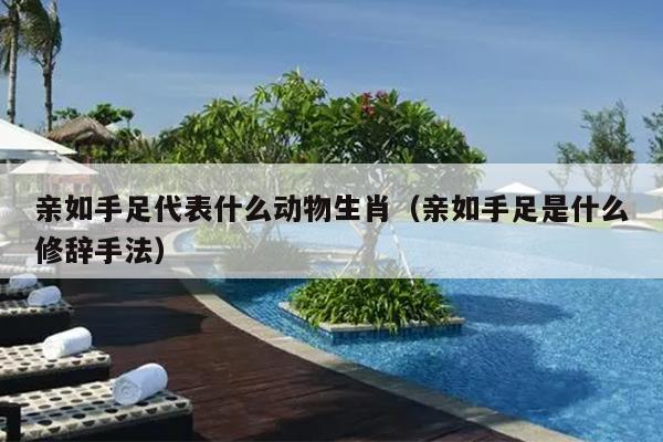 亲如手足代表什么动物生肖（亲如手足是什么修辞手法）