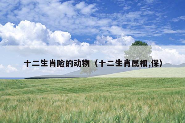 十二生肖险的动物（十二生肖属相,保）