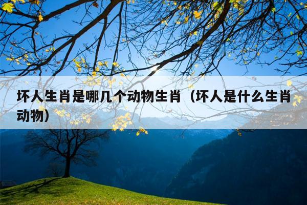 坏人生肖是哪几个动物生肖（坏人是什么生肖动物）