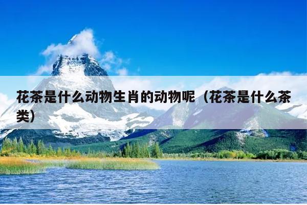花茶是什么动物生肖的动物呢（花茶是什么茶类）