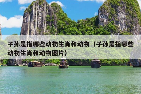 子孙是指哪些动物生肖和动物（子孙是指哪些动物生肖和动物图片）