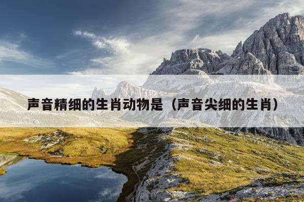 声音精细的生肖动物是（声音尖细的生肖）