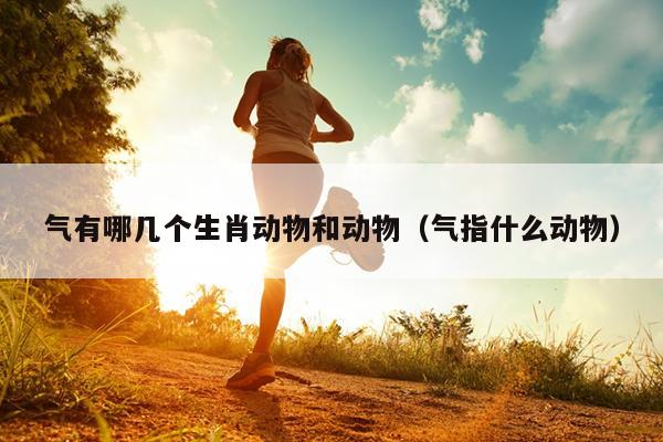气有哪几个生肖动物和动物（气指什么动物）