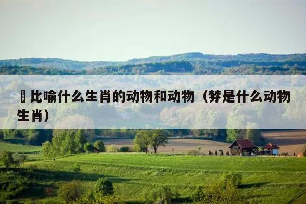 骹比喻什么生肖的动物和动物（棼是什么动物生肖）
