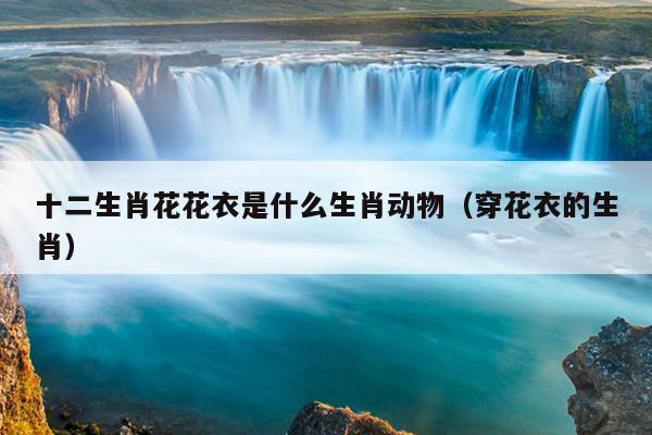 十二生肖花花衣是什么生肖动物（穿花衣的生肖）