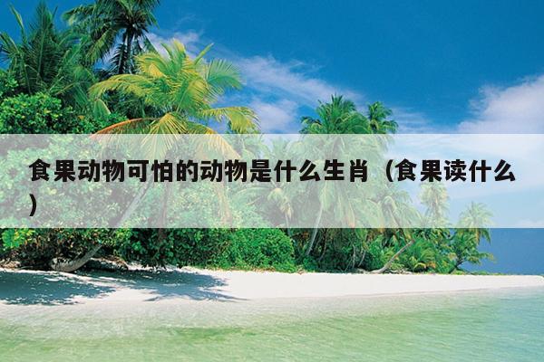 食果动物可怕的动物是什么生肖（食果读什么）