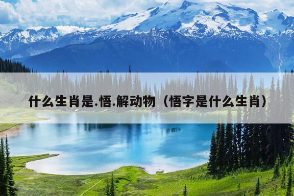 什么生肖是.悟.解动物（悟字是什么生肖）