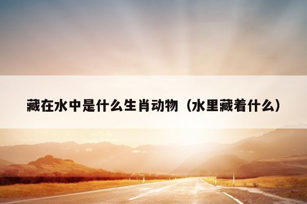 藏在水中是什么生肖动物（水里藏着什么）
