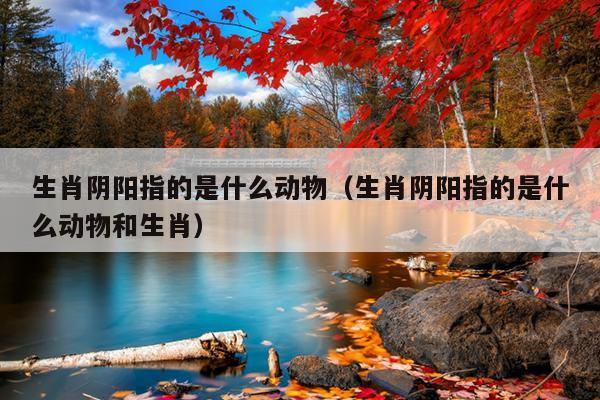 生肖阴阳指的是什么动物（生肖阴阳指的是什么动物和生肖）