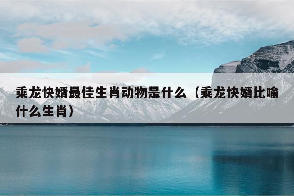 乘龙快婿最佳生肖动物是什么（乘龙快婿比喻什么生肖）