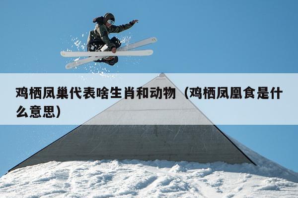 鸡栖凤巢代表啥生肖和动物（鸡栖凤凰食是什么意思）