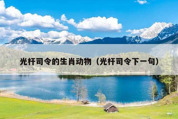 光杆司令的生肖动物（光杆司令下一句）