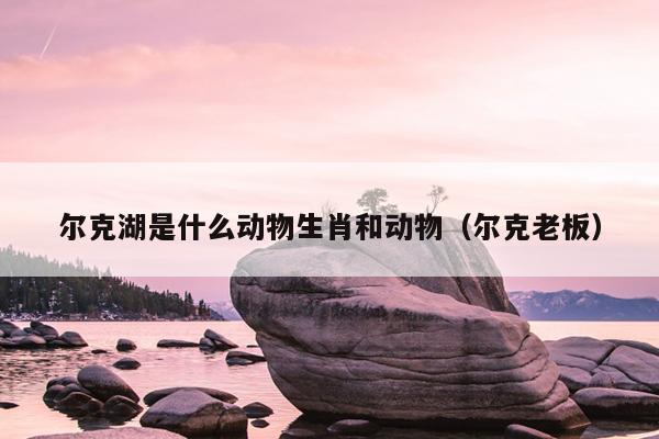 尔克湖是什么动物生肖和动物（尔克老板）