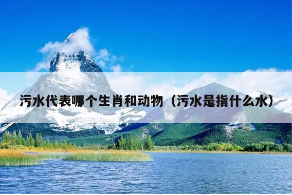 污水代表哪个生肖和动物（污水是指什么水）