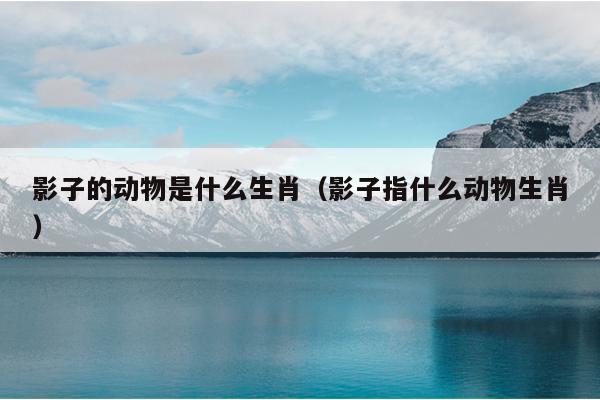 影子的动物是什么生肖（影子指什么动物生肖）