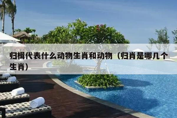 归楫代表什么动物生肖和动物（归肖是哪几个生肖）