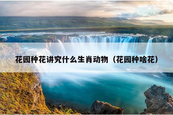 花园种花讲究什么生肖动物（花园种啥花）