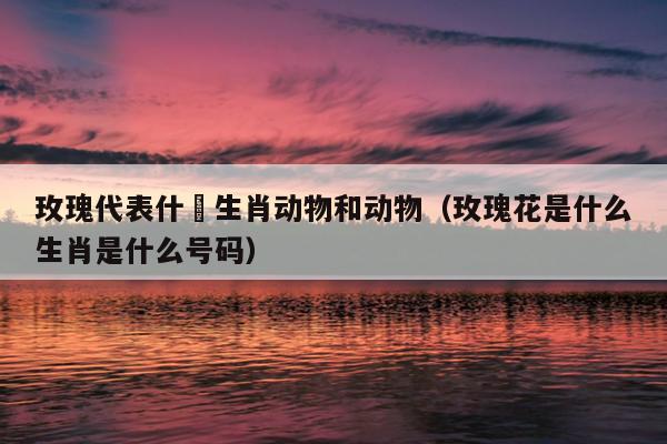 玫瑰代表什麼生肖动物和动物（玫瑰花是什么生肖是什么号码）