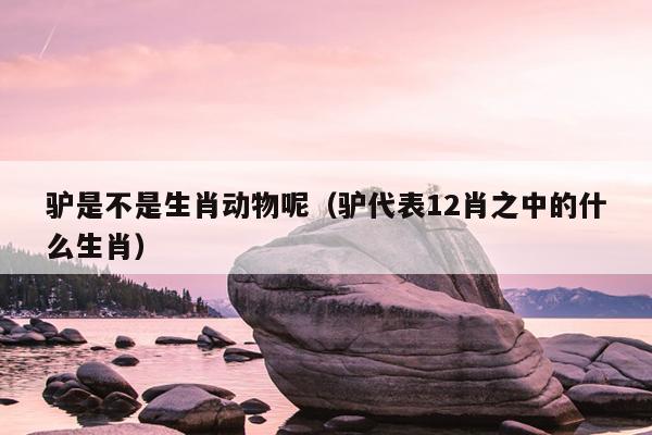 驴是不是生肖动物呢（驴代表12肖之中的什么生肖）