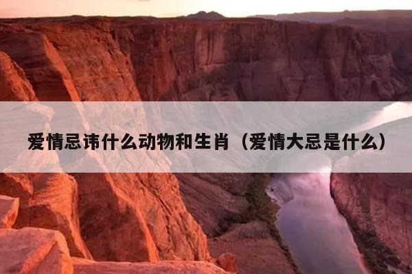 爱情忌讳什么动物和生肖（爱情大忌是什么）