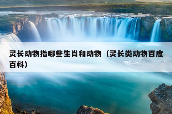 灵长动物指哪些生肖和动物（灵长类动物百度百科）