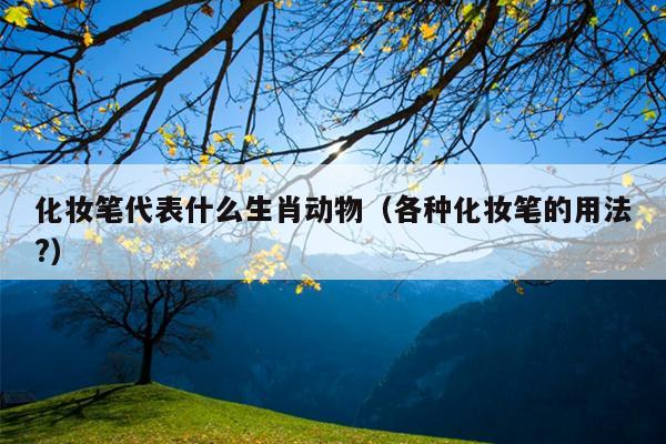 化妆笔代表什么生肖动物（各种化妆笔的用法?）