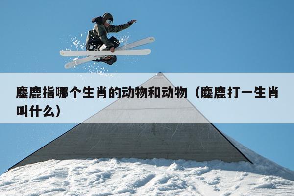 麋鹿指哪个生肖的动物和动物（麋鹿打一生肖叫什么）