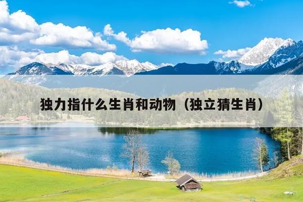 独力指什么生肖和动物（独立猜生肖）