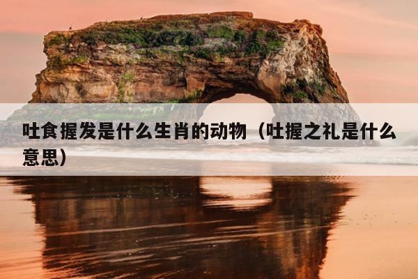 吐食握发是什么生肖的动物（吐握之礼是什么意思）