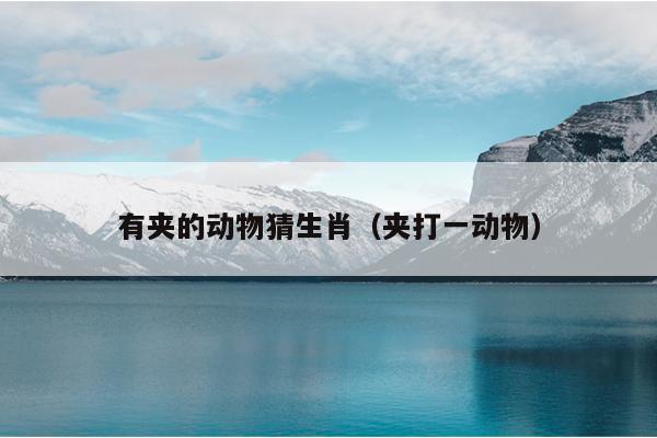 有夹的动物猜生肖（夹打一动物）