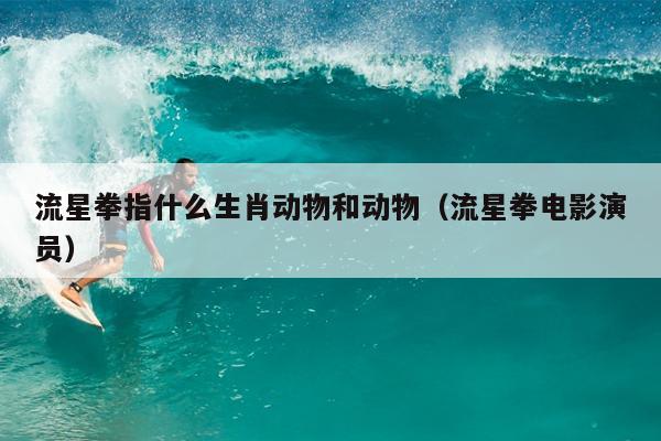 流星拳指什么生肖动物和动物（流星拳电影演员）