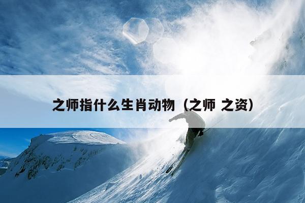 之师指什么生肖动物（之师 之资）