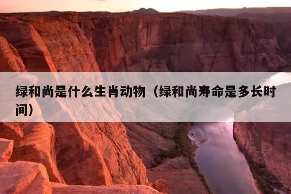 绿和尚是什么生肖动物（绿和尚寿命是多长时间）