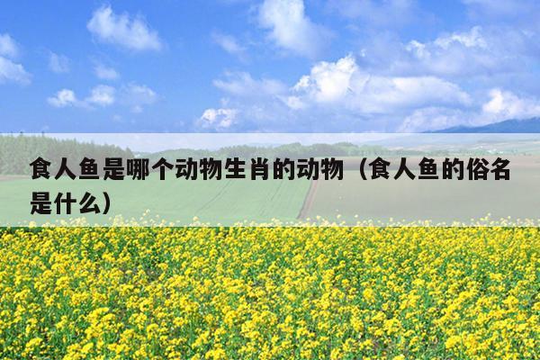 食人鱼是哪个动物生肖的动物（食人鱼的俗名是什么）