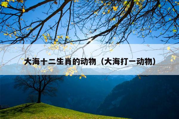 大海十二生肖的动物（大海打一动物）