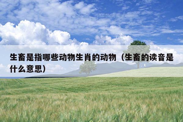 生畜是指哪些动物生肖的动物（生畜的读音是什么意思）