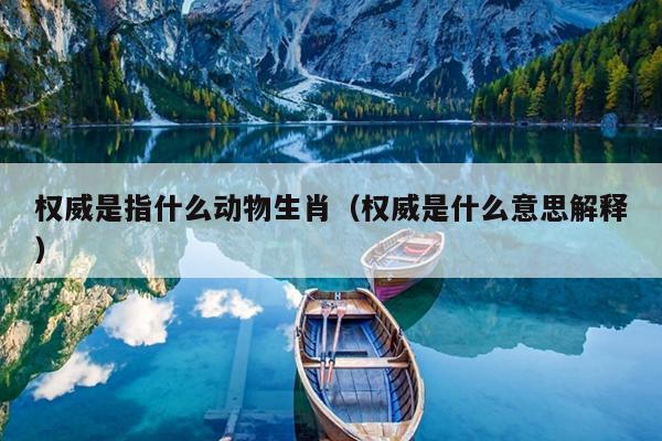 权威是指什么动物生肖（权威是什么意思解释）