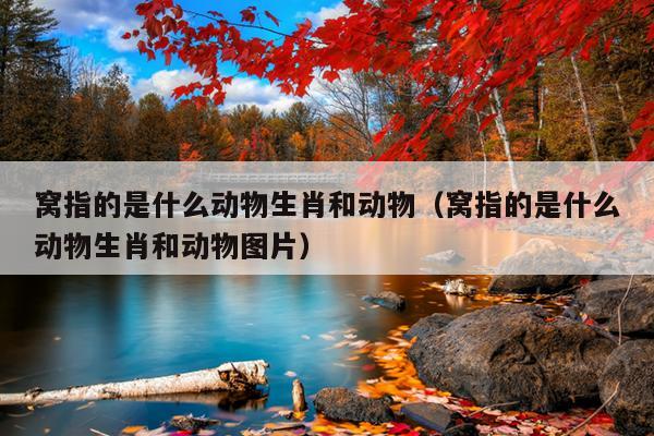 窝指的是什么动物生肖和动物（窝指的是什么动物生肖和动物图片）