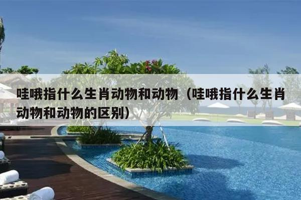 哇哦指什么生肖动物和动物（哇哦指什么生肖动物和动物的区别）