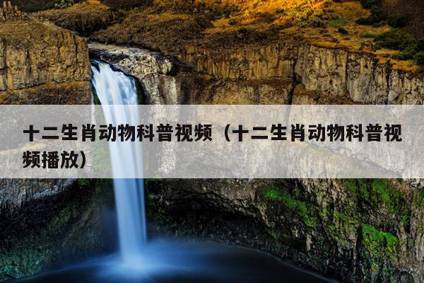 十二生肖动物科普视频（十二生肖动物科普视频播放）