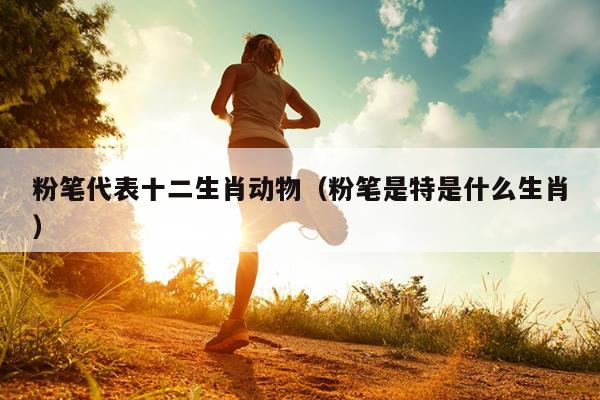 粉笔代表十二生肖动物（粉笔是特是什么生肖）