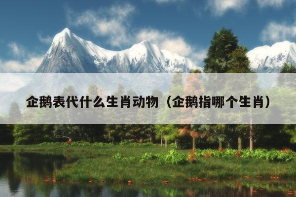 企鹅表代什么生肖动物（企鹅指哪个生肖）
