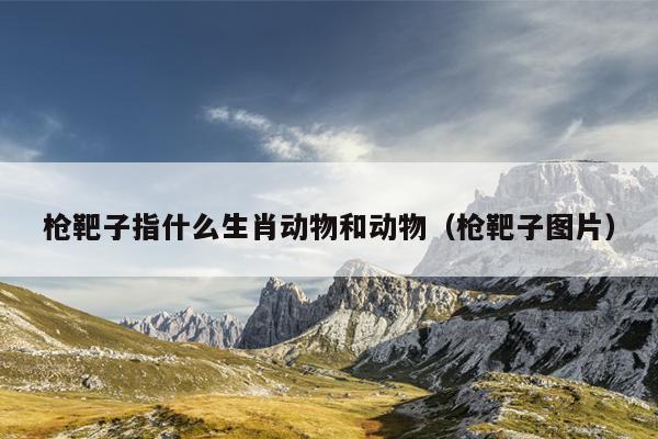 枪靶子指什么生肖动物和动物（枪靶子图片）