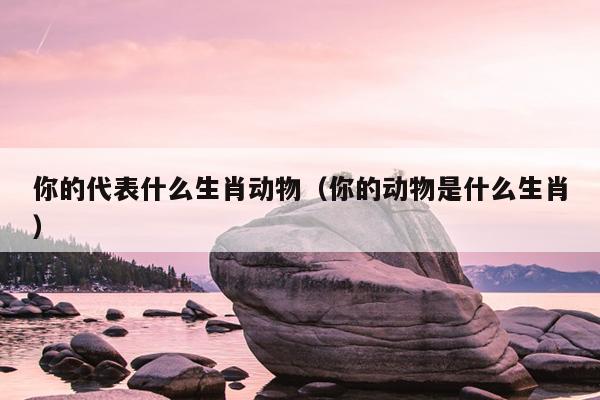 你的代表什么生肖动物（你的动物是什么生肖）