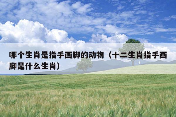 哪个生肖是指手画脚的动物（十二生肖指手画脚是什么生肖）