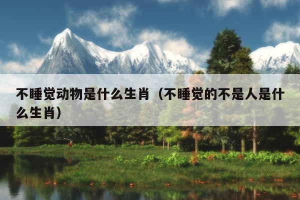 不睡觉动物是什么生肖（不睡觉的不是人是什么生肖）