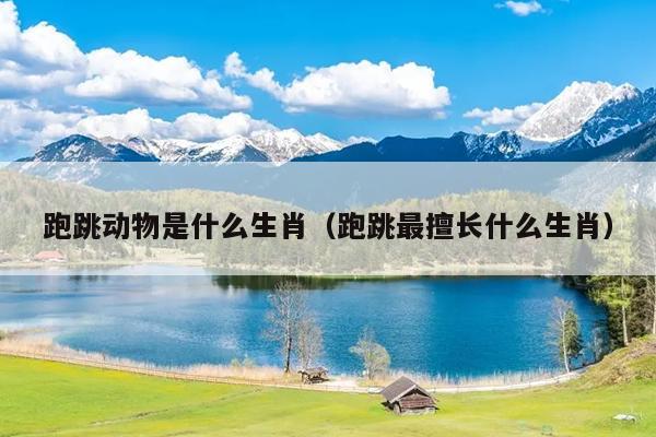 跑跳动物是什么生肖（跑跳最擅长什么生肖）