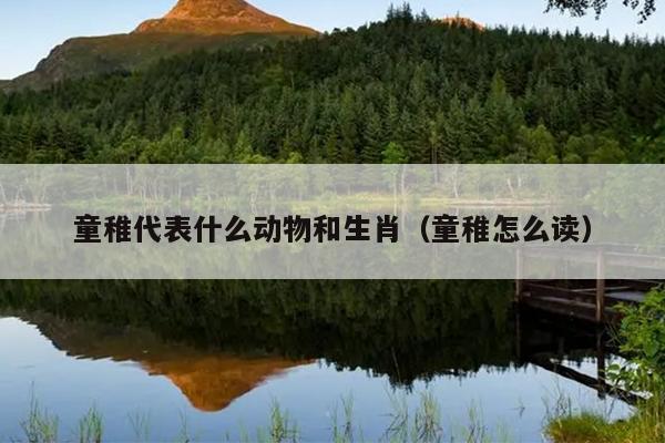 童稚代表什么动物和生肖（童稚怎么读）