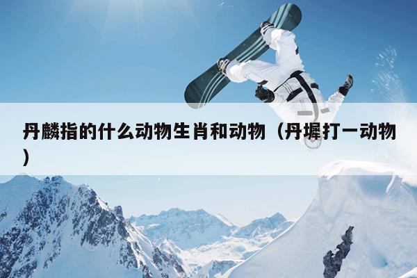 丹麟指的什么动物生肖和动物（丹墀打一动物）