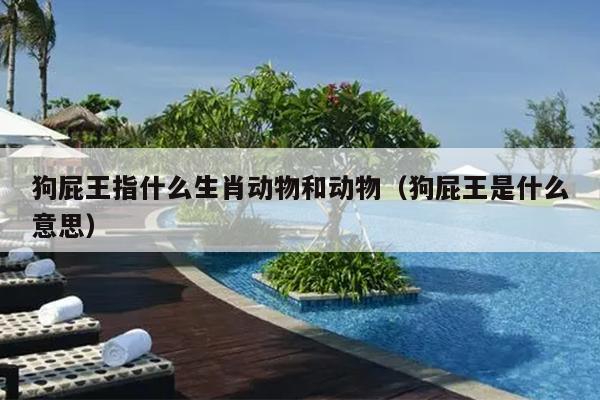 狗屁王指什么生肖动物和动物（狗屁王是什么意思）
